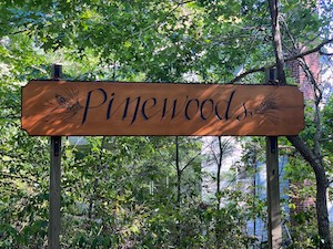 welcome summer at Pinewoods